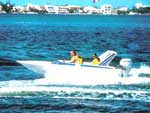 Speedboat Tour Playa del Carmen
