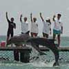 Dolphin Trainer