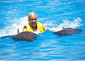 Dolphin Swim Cancun