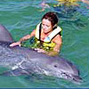 Wet N Wild Dolphins