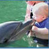 Dolphin Swimming at Xel Ha