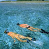 Xel-Ha Tour from Cancun - All-Inclusive