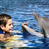 Swim With Dolphins at Xel-Ha