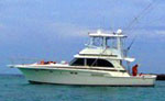 Playa del Carmen Yacht Charter