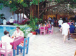Playa Del Carmen Tour