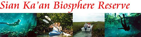 Sian Kaan Biosphere Tour from Cancun Discounts