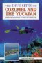 Cancun Diving Guide