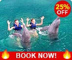 Dolphin Swims Cancun Discount