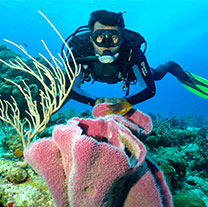 Scuba Diving Cancun
