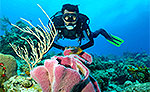 Manchones Scuba Diving Cancun