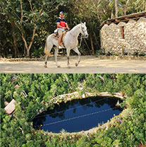 Horseback and Cenotes