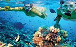 Isla Mujeres Snorkeling