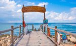 Cozumel Reef Snorkeling Tour