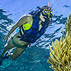 Cancun Snorkeling Adventure