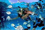 Underwater Museum Cancun