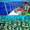 Private Groups: Fishing & Snorkeling