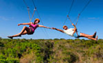 Swim in a Cenote in Playa del Carmen