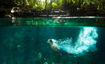 Swim in a Cenote in Playa del Carmen