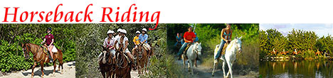 Cancun Horseback Riding Tours Playa del Carmen