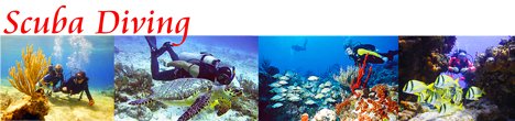 Cancun Scuba Diving Cozumel Scuba Diving