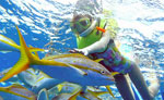 Costa Maya Snorkeling