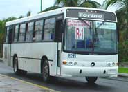 Cancun Bus