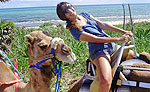 Cancun Camel Riding Tour