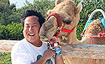 Riviera Maya Camel Ride