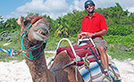 Cancun Camel Ride 