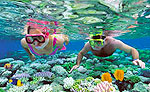 Snorkeling Tour Riviera Maya
