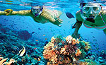 Snorkeling on Isla Mujeres Reef