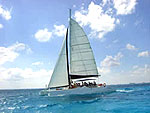 Your Catamaran