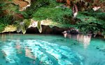 Cenote Snorkeling Playa del Carmen