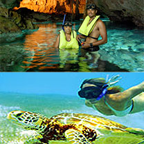 Sea Turtle Snorkel