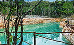 Rio Maya Cenote Tour