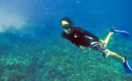 Free Diving Tour Costa Maya 