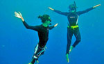 Costa Maya Free Diving Excursion