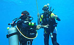 Discover Scuba Diving in Costa Maya