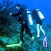 Mahahual Scuba Diving