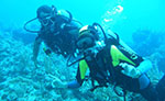Scuba Diving Costa Maya