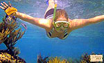 Costa Maya Snorkeling