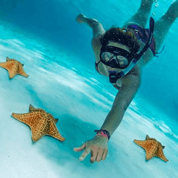 Tours From Cozumel