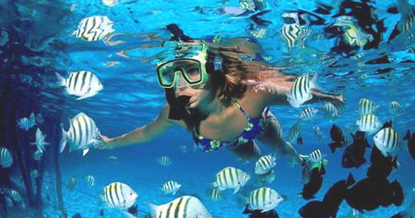 Cozumel Glass Bottom Tour Cozumel Glass Bottom Tour