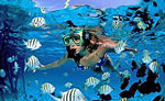 Cozumel Snorkeling