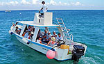 Snorkeling Glass Bottom Cozumel Tour