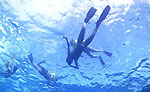 Cozumel Snorkeling Tour