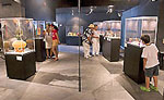 Discover Park Museum Tour Cozumel