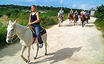Cozumel Horseback Ride