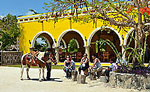 Horseback Riding Cozumel Tour