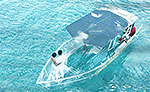 Glass Boat & Snorkeling Cozumel Tour from Cancun